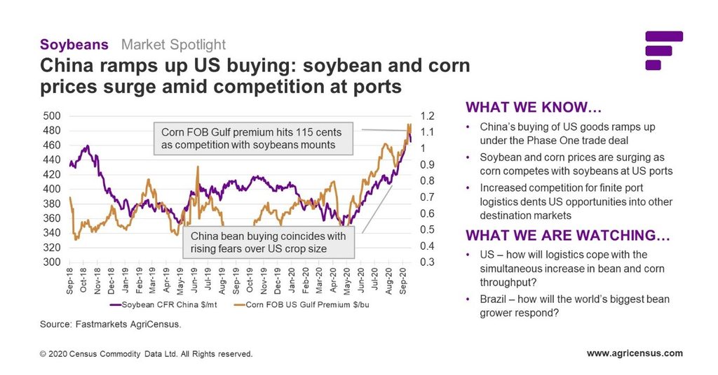 China ramps up US buying: soybean and corn prices surge, Fastmarkets Agricensus
