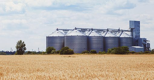 Wheat storage and field in Australia